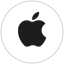 Apple Pay logo